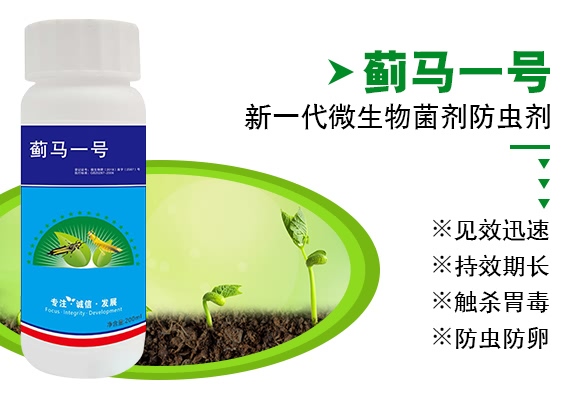 薊馬一號(hào)-德瑞森