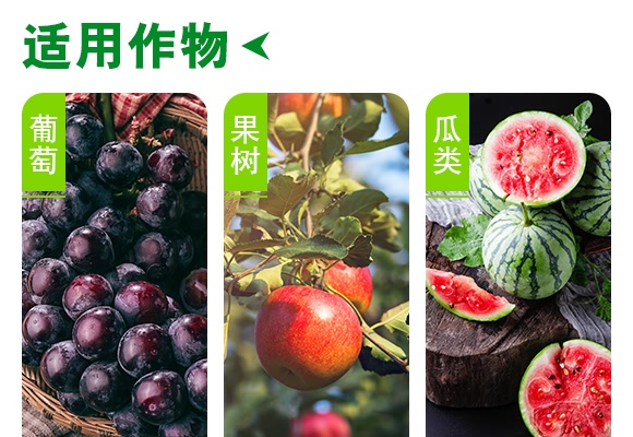 薊馬一號(hào)-德瑞森