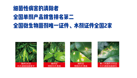 熒光假單細胞-細靈靈可卡素-農(nóng)墾