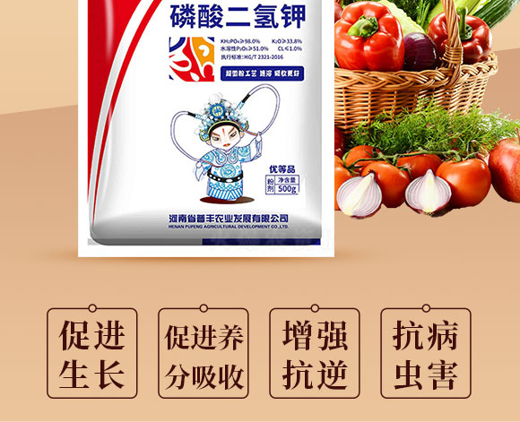 娌沖崡鐪佹櫘涓板啘涓氬彂灞曟湁闄愬叕鍙竉02.jpg