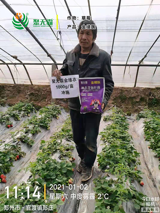 閲戠紩鍖誨湴琛ｈ娊瀛㈡潌鑿?鑱氭棤闇?.jpg