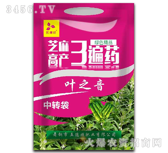 芝麻高產(chǎn)3遍藥-葉之音-五德順
