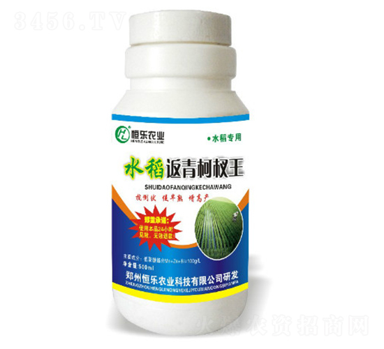 水稻返青柯杈王-恒樂(lè)農(nóng)業(yè)