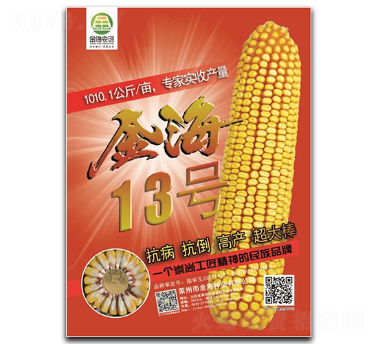 金海13號(hào)-玉米種子-金海農(nóng)創(chuàng)