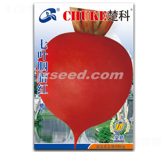 七葉胭脂紅-蘿卜種子-現(xiàn)代種業(yè)