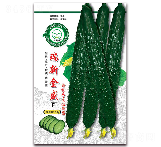 瑞新金盛-黃瓜種子-億家豐