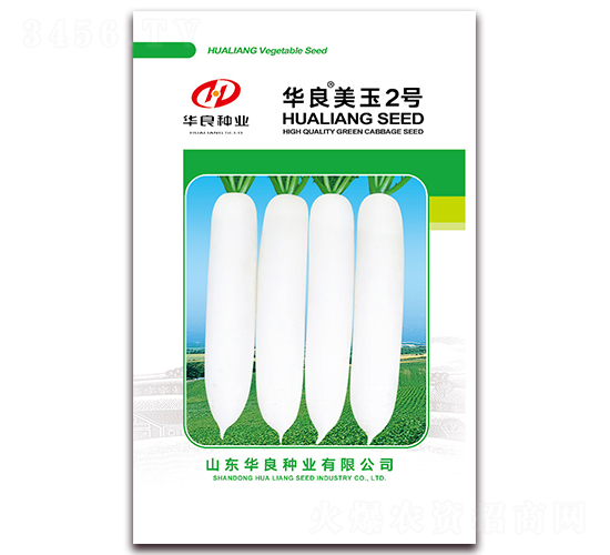 華良美玉2號-蘿卜種子-華良種業(yè)