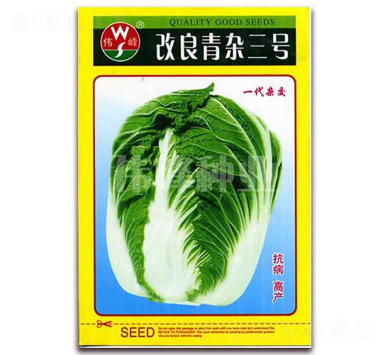 改良青雜三號(hào)-白菜種子-偉峰種業(yè)