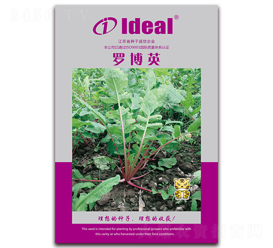 羅博英-蘿卜種子-理想農(nóng)業(yè)