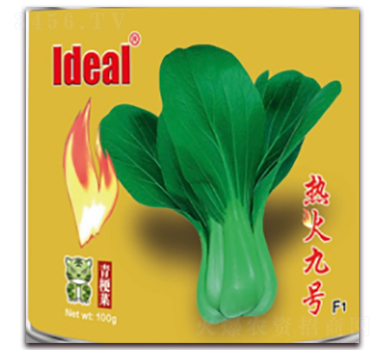 熱火九號-青梗菜種子-理想農(nóng)業(yè)