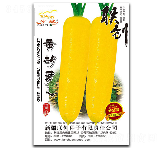 黃胡蘿卜-胡蘿卜種子-聯(lián)創(chuàng)