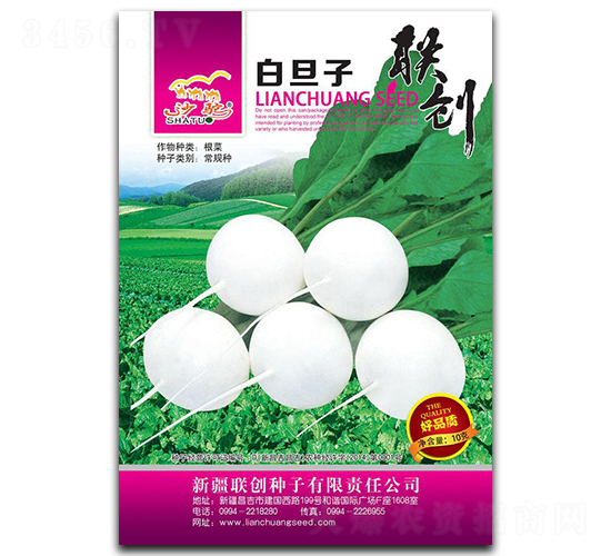 白旦子-蘿卜種子-聯(lián)創(chuàng)