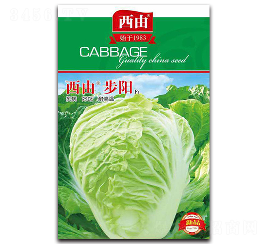 西由步陽(yáng)-白菜種子-西由