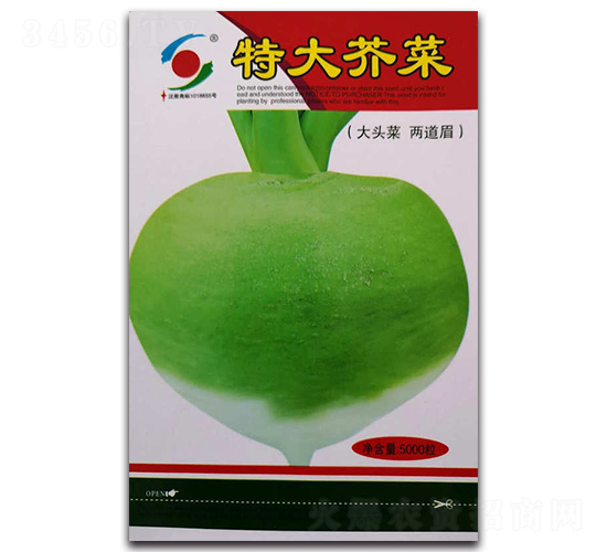 特大薺菜-水果蘿卜種子-新世紀