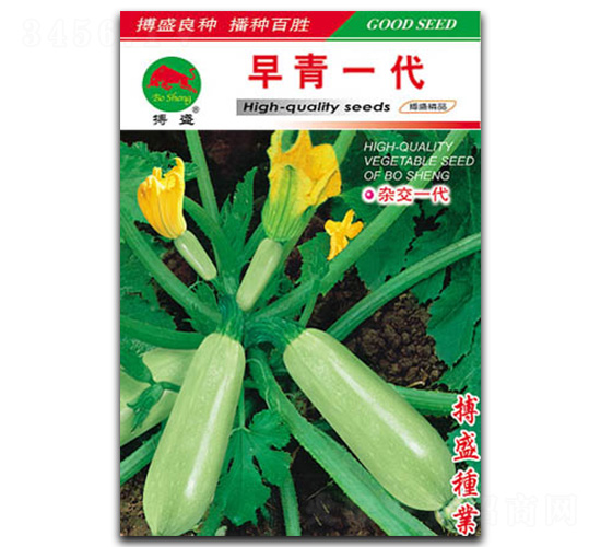 早青一代-西葫蘆種子-搏盛種業(yè)