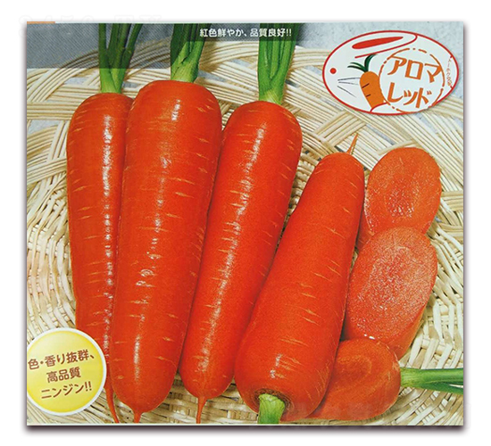 瑪麗特-胡蘿卜種子-農(nóng)播王