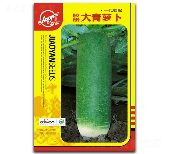 膠研大青蘿卜-蘿卜種子-膠研