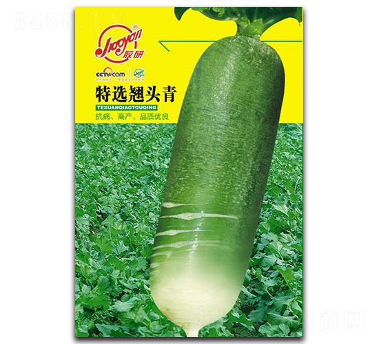特選翹頭青-蘿卜種子-膠研