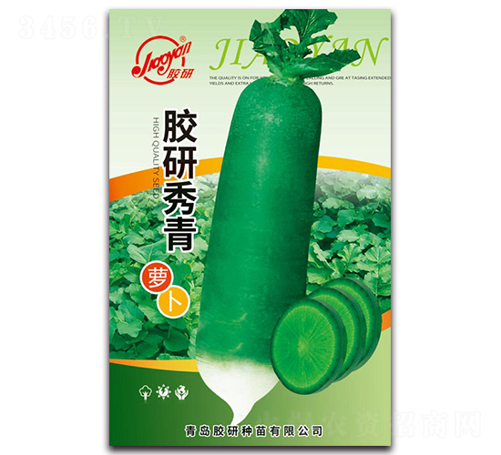 膠研秀青蘿卜-蘿卜種子-膠研
