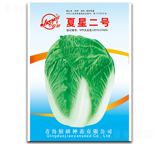 夏星二號-夏播白菜種子-膠研