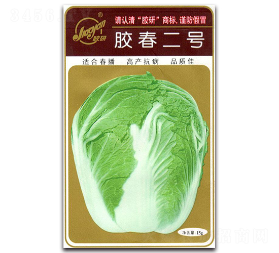 膠春二號-春播白菜種子-膠研