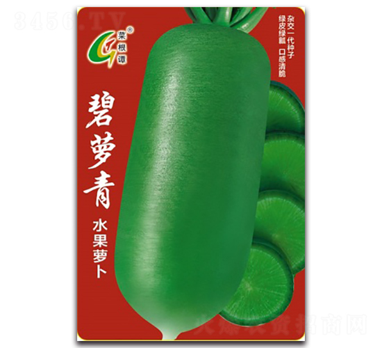 碧蘿青-蘿卜種子-北方種業(yè)