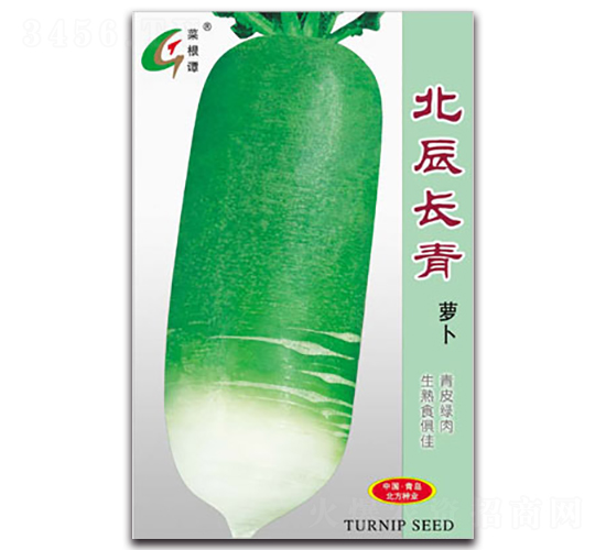 北辰長青-蘿卜種子-北方種業(yè)