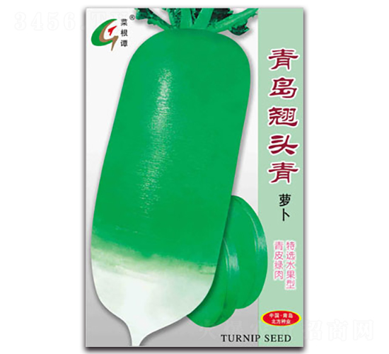 青島翹頭青-蘿卜種子-北方種業(yè)