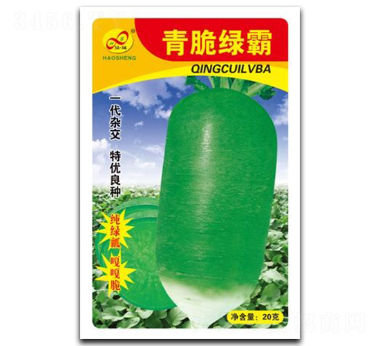 青脆綠霸-蘿卜種子-昊晟種業(yè)