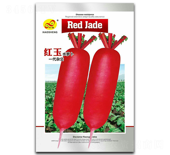 紅玉-蘿卜種子-昊晟種業(yè)
