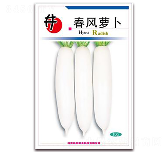 春分蘿卜-蘿卜種子-井田農(nóng)業(yè)