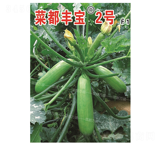 菜都豐寶2號(hào)-西葫蘆種子-菜都萬盛