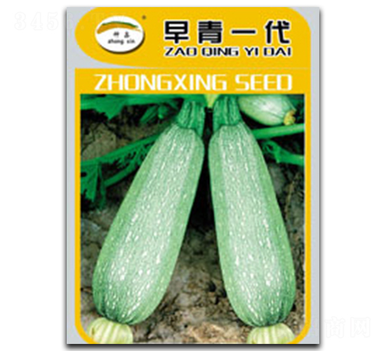 早青一代-西葫蘆種子-種星種業(yè)