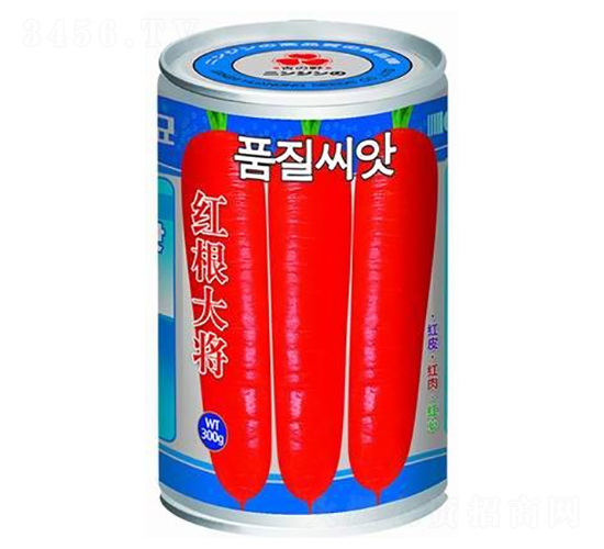 紅根大將-胡蘿卜種子-華農(nóng)種業(yè)