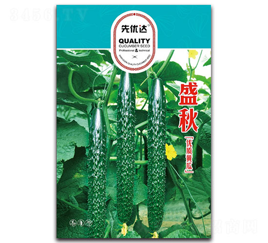 盛秋-黃瓜種子-先優(yōu)達