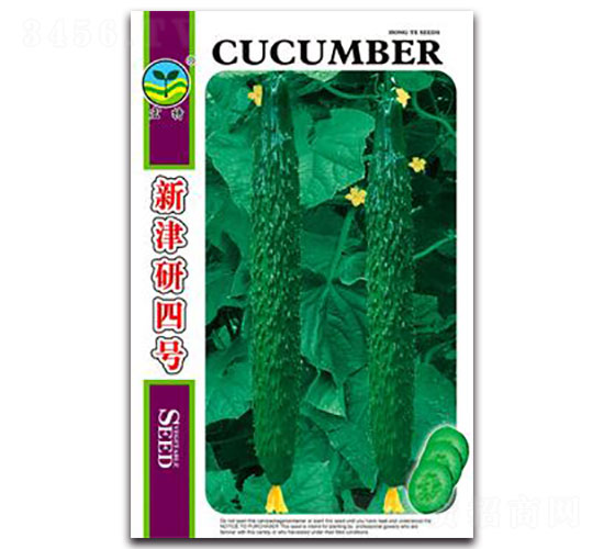 新津研四號(hào)-黃瓜種子-宏特