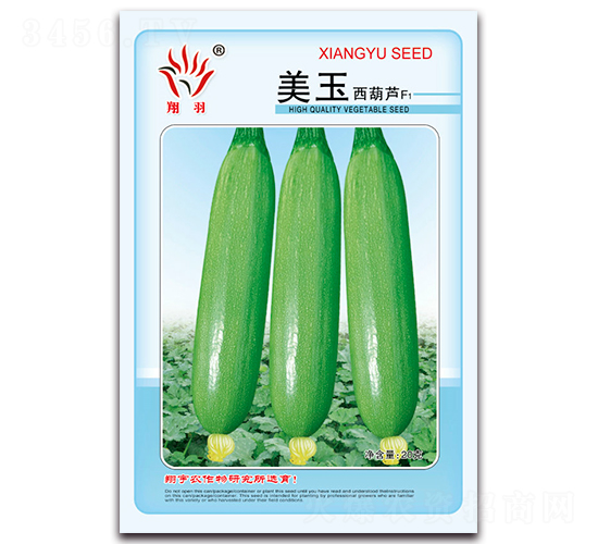 美玉西葫蘆-西葫蘆種子-京密種業(yè)