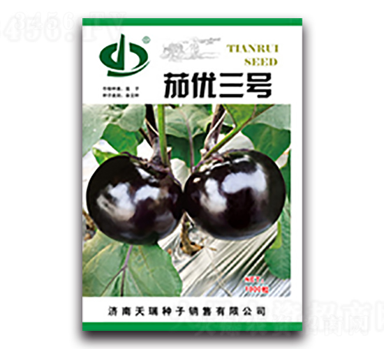 茄優(yōu)三號-茄子種子-天瑞種子