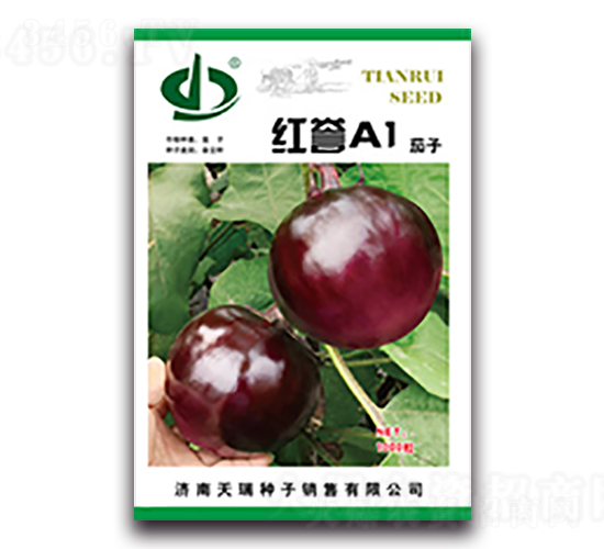 紅譽(yù)A1-茄子種子-天瑞種子