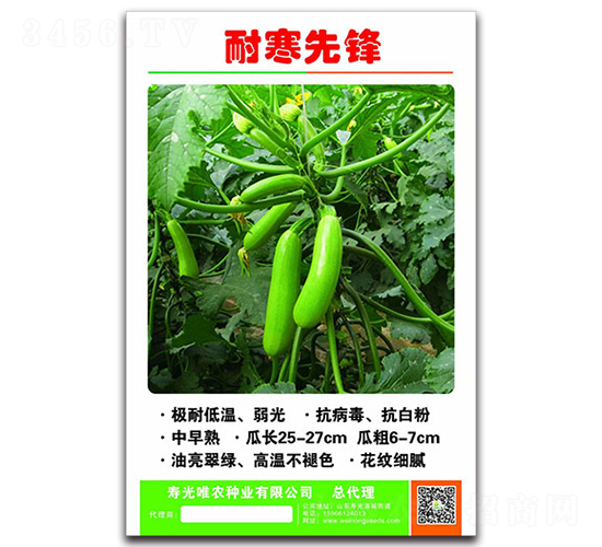 耐寒先鋒F1-西葫蘆種子-唯農(nóng)種業(yè)