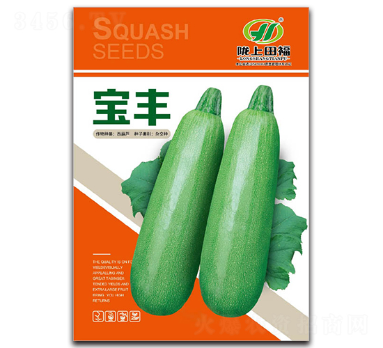 寶豐-西葫蘆種子-田福農(nóng)業(yè)