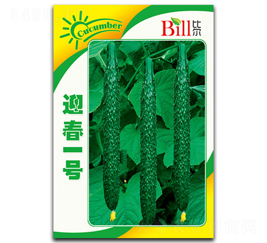 迎春一號(hào)-黃瓜種子-比爾