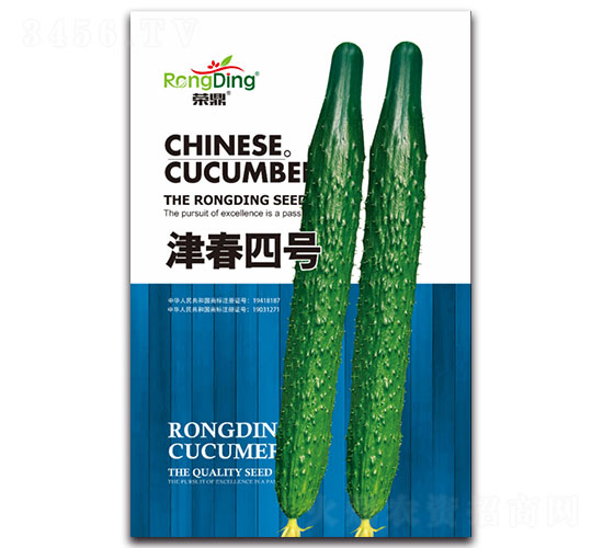 津春四號(hào)-黃瓜種子-先風(fēng)