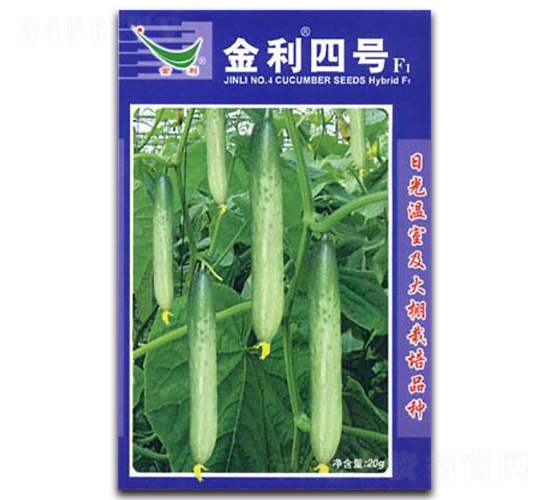 金利四號F1-黃瓜種子-仁大農(nóng)業(yè)