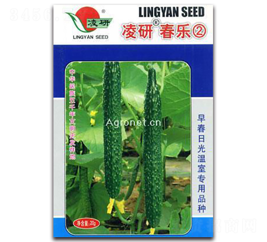 凌研春樂②-黃瓜種子-仁大農(nóng)業(yè)