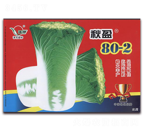 秋盈80-2-白菜種子-仁大農業(yè)