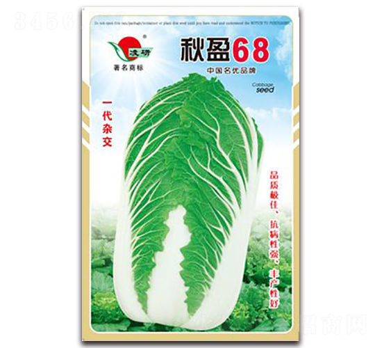 秋盈68-白菜種子-仁大農業(yè)
