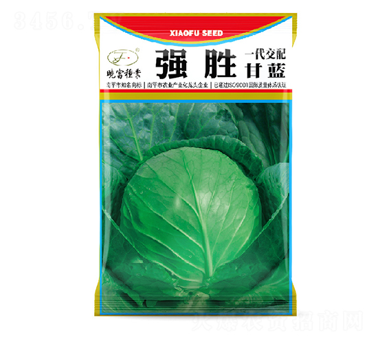 強(qiáng)勝甘藍(lán)-甘藍(lán)種子-曉富種子
