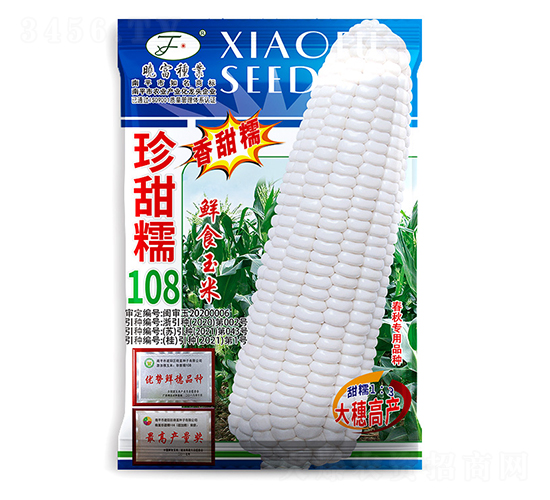 珍甜糯108-玉米種子-曉富種子