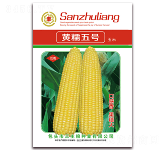 黃糯五號(hào)-糯玉米種子-三主糧